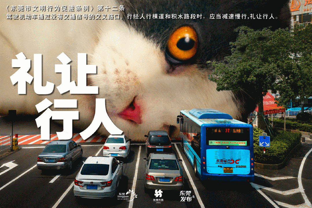 篮球新手基础训练方法_2